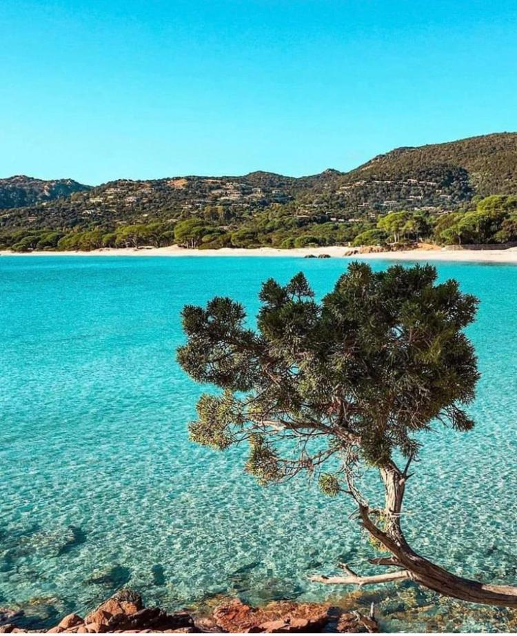 Villa Le Corail Rouge Corse 르씨 외부 사진