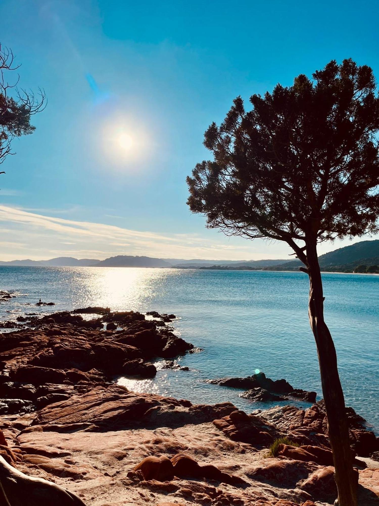 Villa Le Corail Rouge Corse 르씨 외부 사진